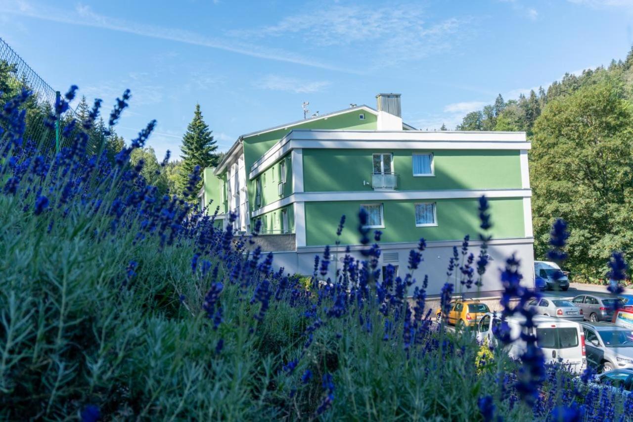 Wellness Hotel Green Paradise Pirkenhammer Eksteriør bilde
