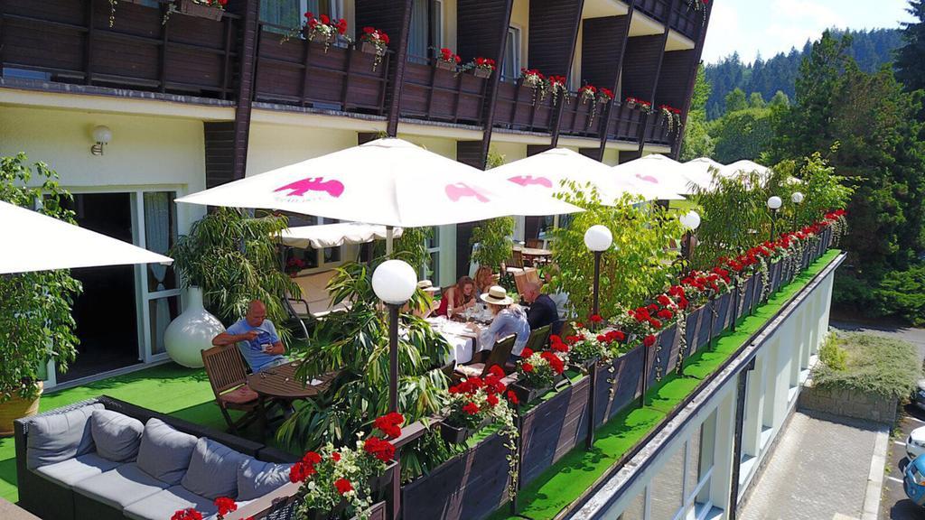 Wellness Hotel Green Paradise Pirkenhammer Eksteriør bilde